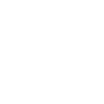 AAAC Tyres Icon