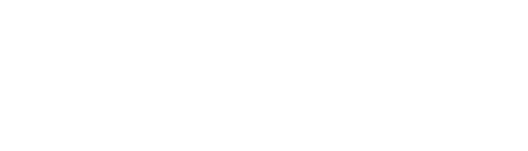 The Automobile Association of South Africa